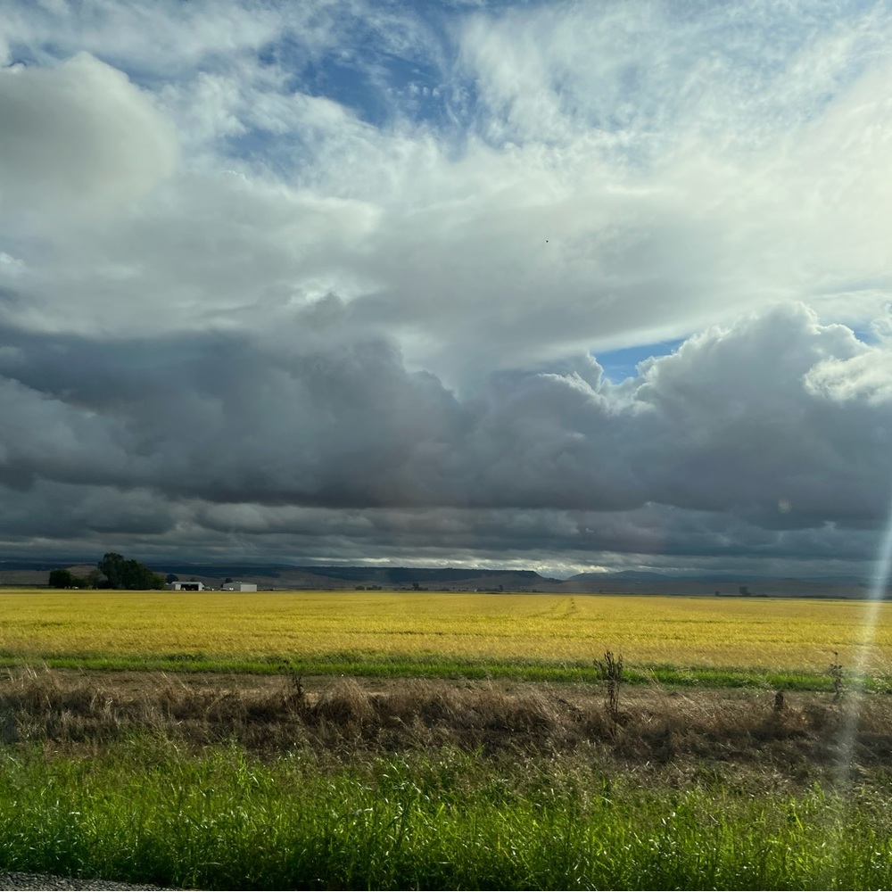 Meet your Posher, Angelica